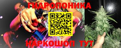 apvp Коммунар
