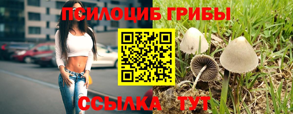 Галлюциногенные грибы GOLDEN TEACHER  Вход с VPN  Клинцы 