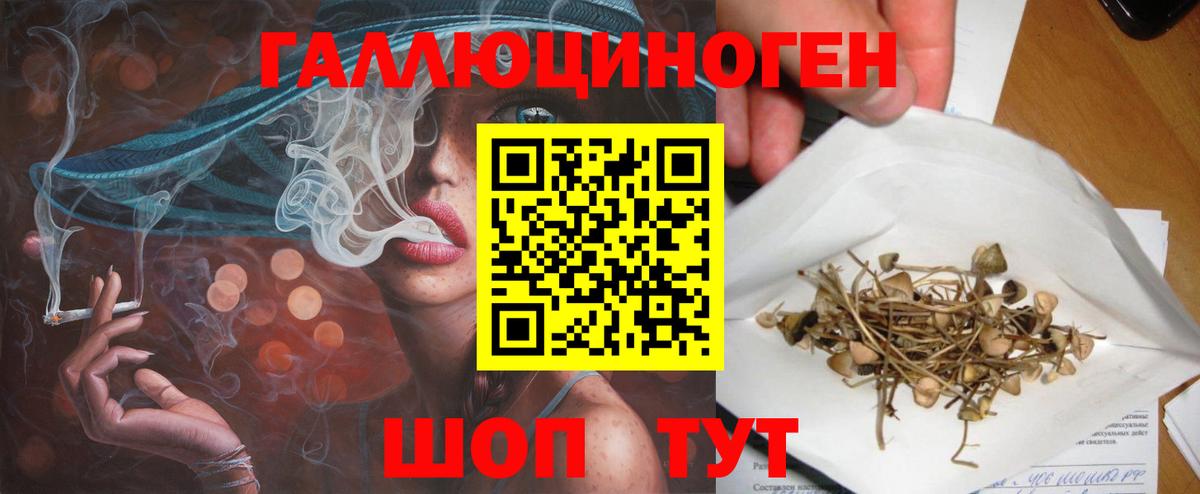 Галлюциногенные грибы Psilocybine cubensis Клинцы